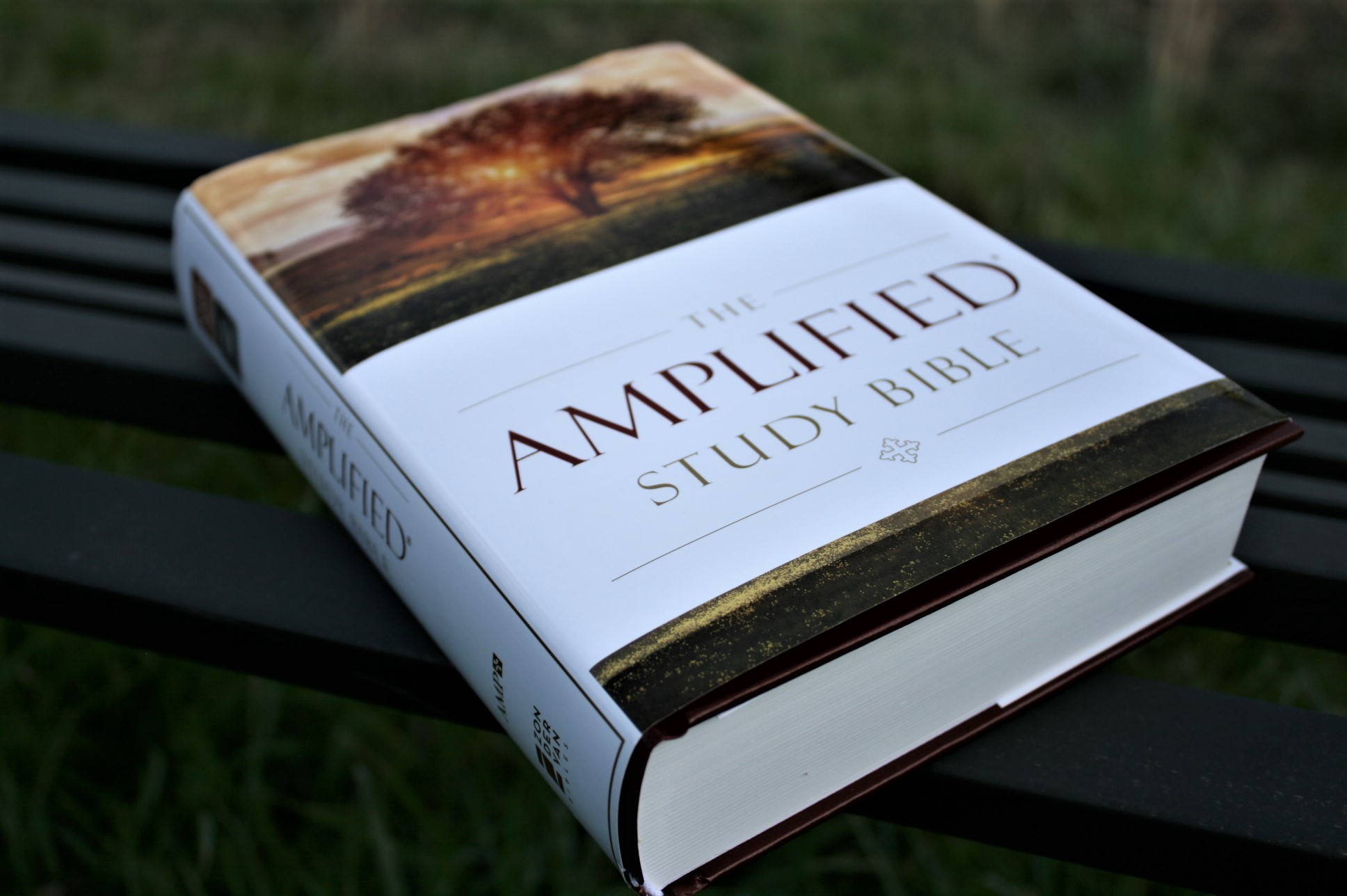 Amplified Study Bible Review Bible Buying Guide