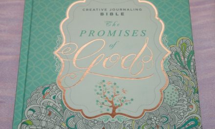 MEV The Promises of God Creative Journaling Bible Review
