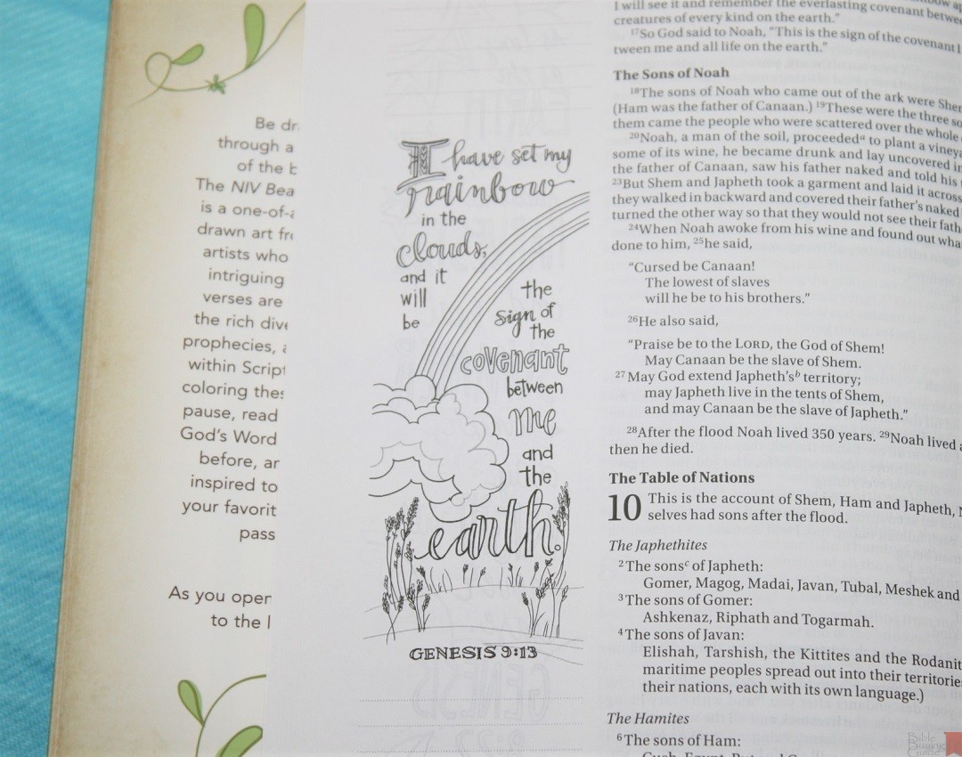 NIV Beautiful Word Coloring Bible Review - Bible Buying Guide