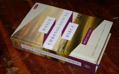 Chronological Bible Reading Plan Review