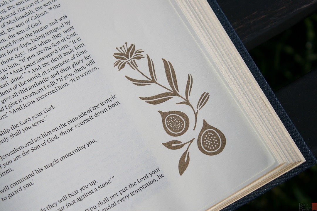 Scripture Graphics Esv ESV Illuminated Bible Art Journaling Edition Review - Bible Buying Guide