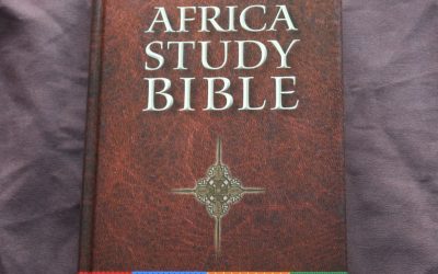Africa Study Bible Review