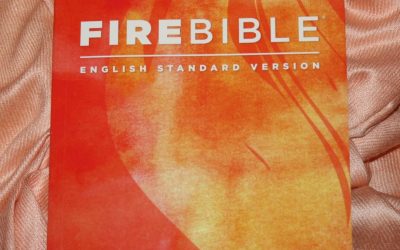 Hendrickson’s ESV Fire Bible Review
