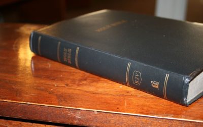 Thomas Nelson Giant Print KJV Reference Bible – Review