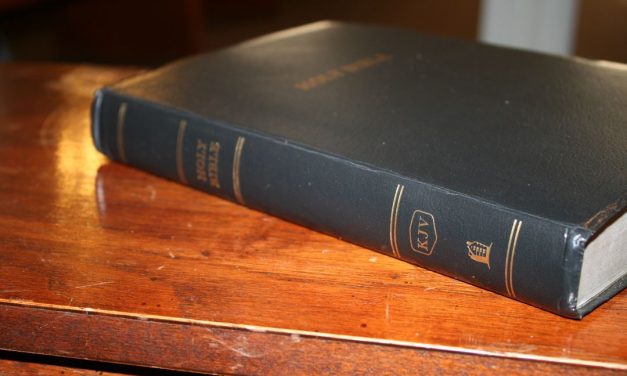 Thomas Nelson Giant Print KJV Reference Bible – Review