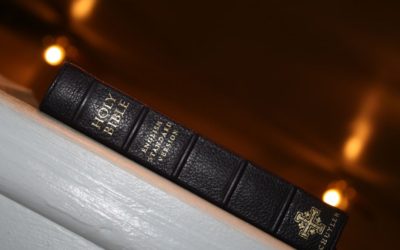 Schuyler ESV Personal Size Quentel Bible in Purple Calfskin – Review