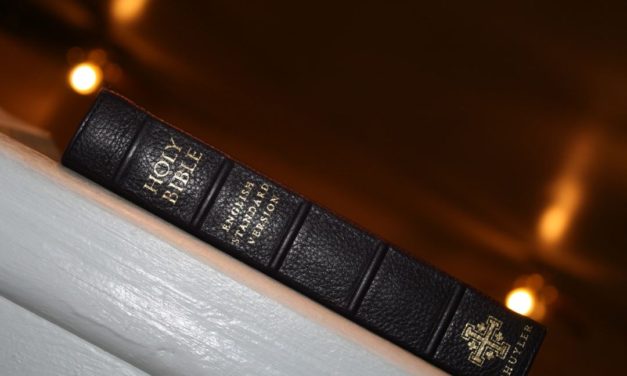 Schuyler ESV Personal Size Quentel Bible in Purple Calfskin – Review