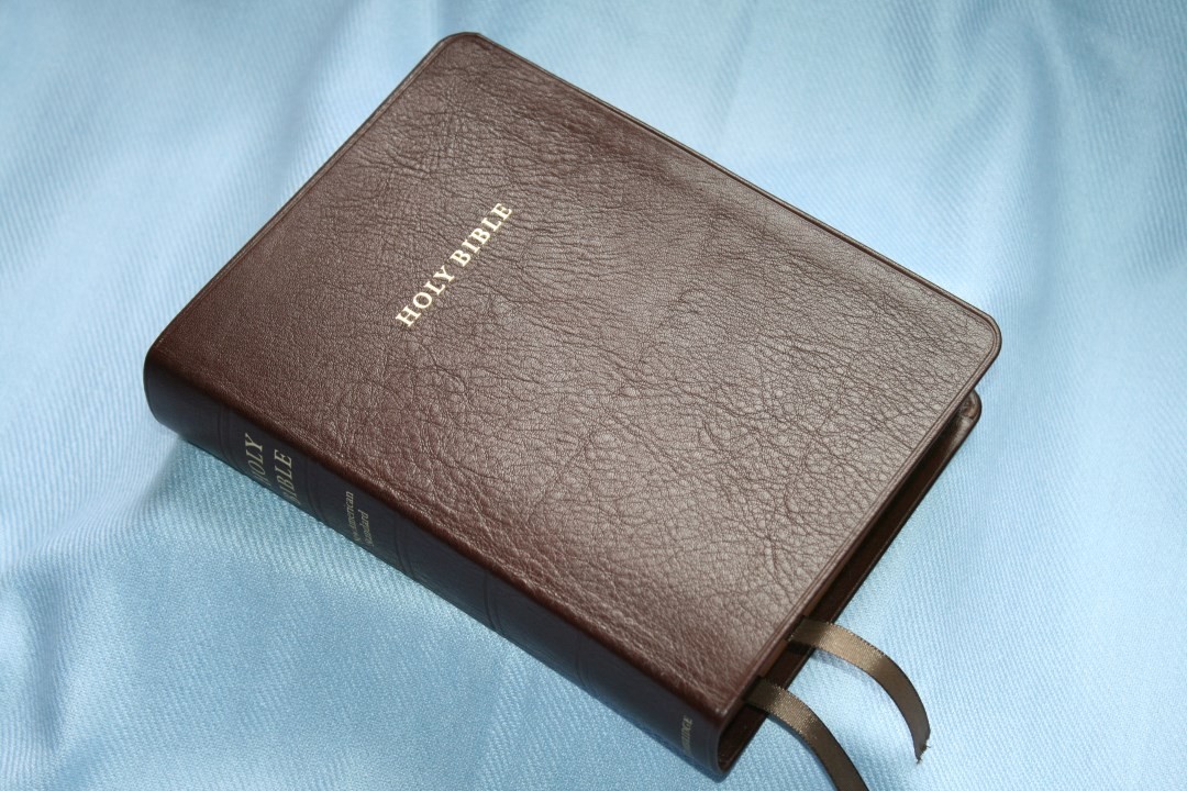 Cambridge NASB Clarion Bible Review - Bible Buying Guide