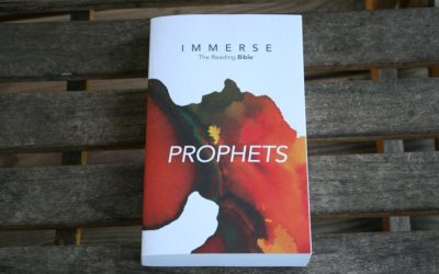 Immerse Prophets Bible Review