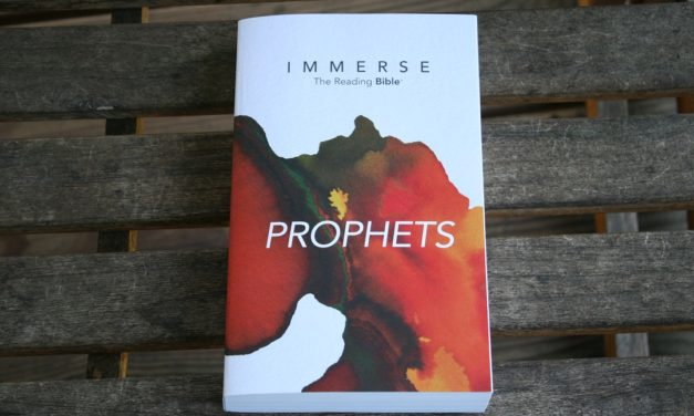 Immerse Prophets Bible Review