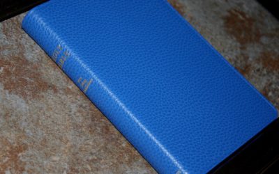 Cambridge NLT Pitt Minion in Blue Calf Split Leather