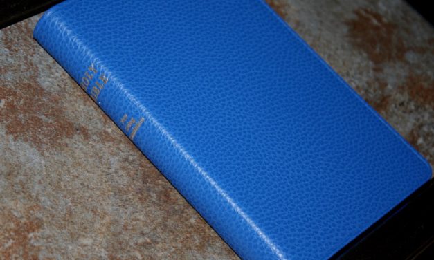 Cambridge NLT Pitt Minion in Blue Calf Split Leather