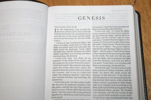 Crossway ESV Large Print Compact Bible Review - Bible Buying Guide