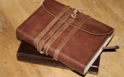 Crossway ESV Large Print Compact Bible Review