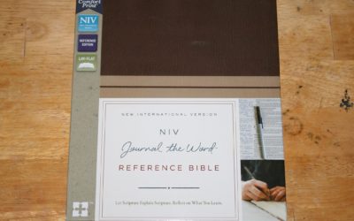 NIV Journal the Word Reference Bible Review