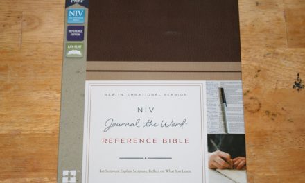 NIV Journal the Word Reference Bible Review