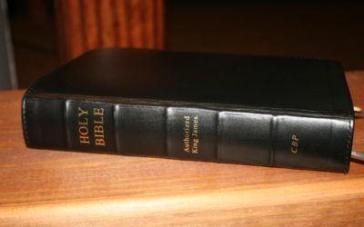 CBP Handsize Center Column Reference Bible Review
