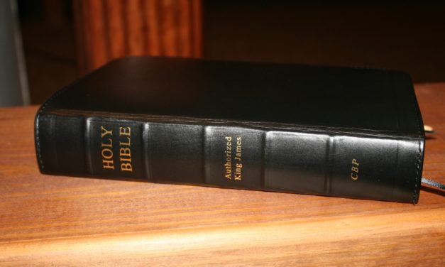 CBP Handsize Center Column Reference Bible Review