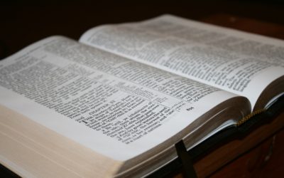 CBP Center Column Reference Bible Red Letter Edition Review
