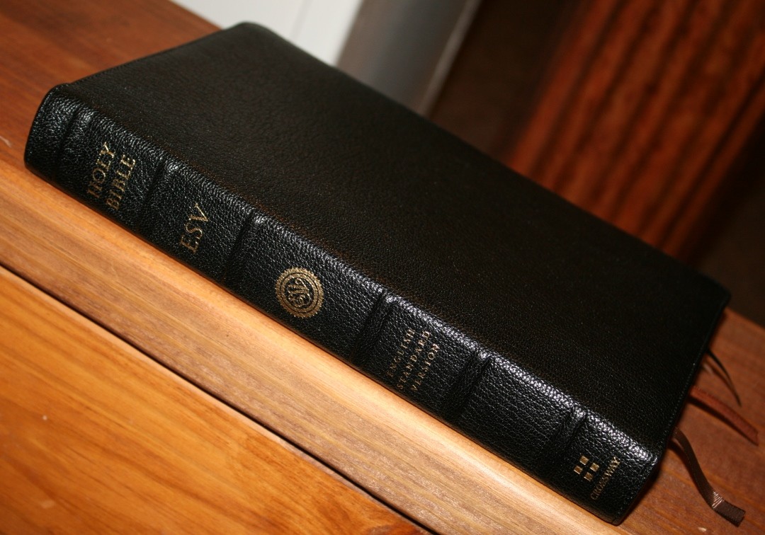 ESV Heirloom Legacy (2) - Bible Buying Guide