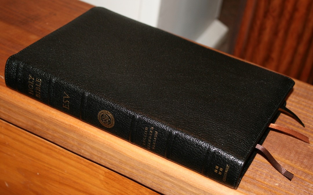 ESV Heirloom Legacy (3) - Bible Buying Guide