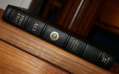 ESV Heirloom Legacy Bible Review