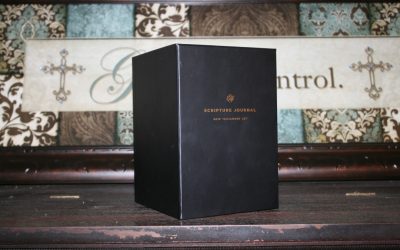 ESV Scripture Journal: New Testament Boxed Set Review