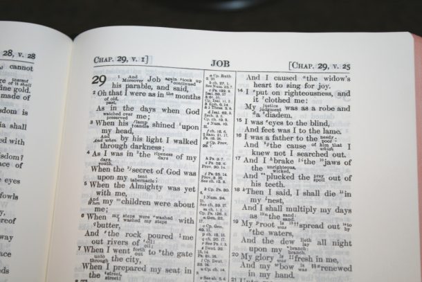 KJV RV Interlinear Bible (23) - Bible Buying Guide