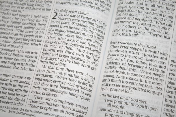 Tyndale's Giant Print NLT Bible Review - Bible Buying Guide