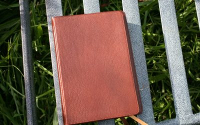 Schuyler Journal in Antique Marble Brown Review