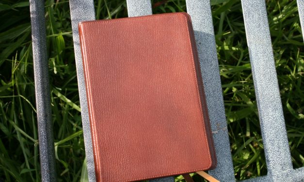 Schuyler Journal in Antique Marble Brown Review
