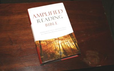 Amplified Reading Bible Review
