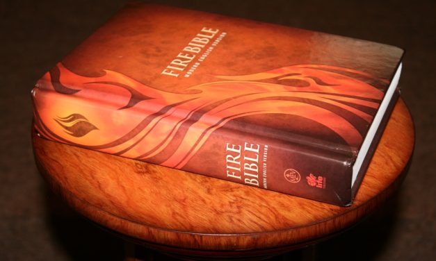 MEV Fire Bible Review