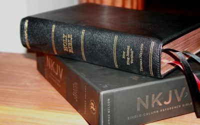 Premier Collection NKJV Single Column Reference Bible