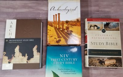 Ask Bible Buying Guide: Archaeology Study Bible Comparison