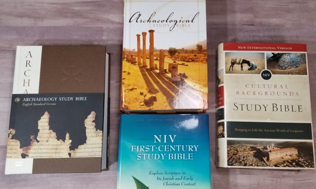 Ask Bible Buying Guide: Archaeology Study Bible Comparison