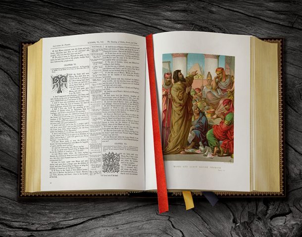 Beautiful Illustrated Family Bible Project on Kickstarter - Bible ...