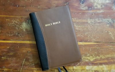 CBP Notetakers Bible Review