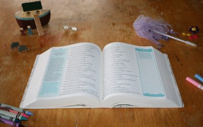 NLT Inspire for Girls Bible Review