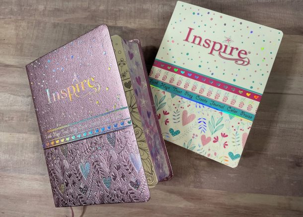 NLT Inspire for Girls Bible Review - Bible Buying Guide