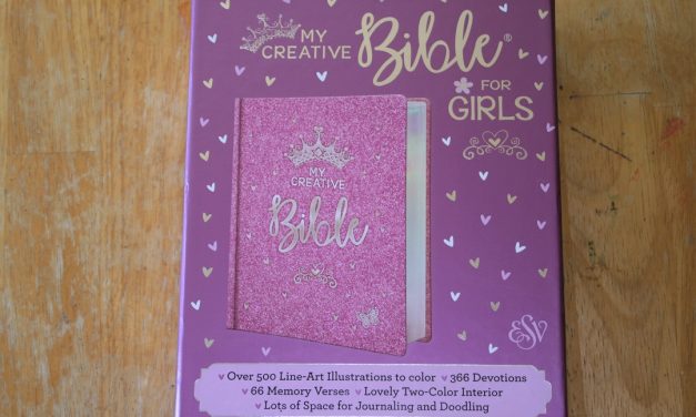 ESV My Creative Bible for Girls Review