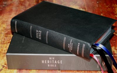 Premier Collection NIV Heritage Bible Review