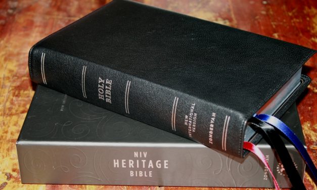 Premier Collection NIV Heritage Bible Review