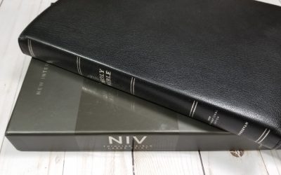 Premier Collection NIV Thinline Bible Large Print Review