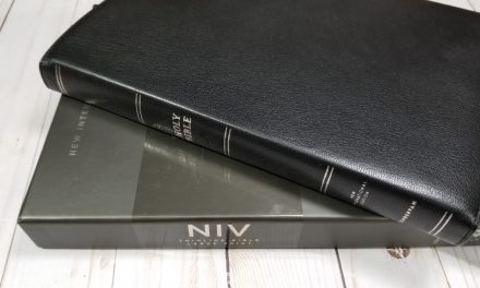 Premier Collection NIV Thinline Bible Large Print Review
