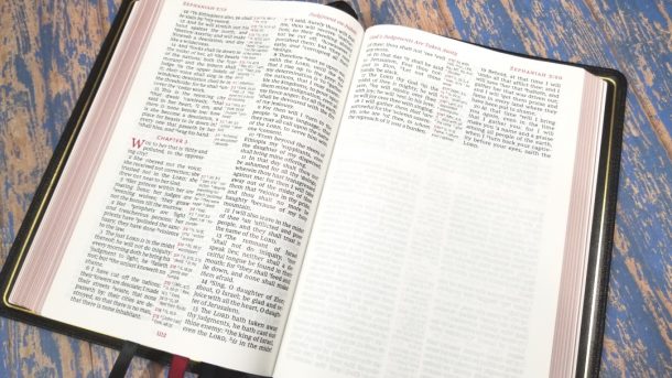 Premier Collection Giant Print Reference KJV Bible Review - Bible ...