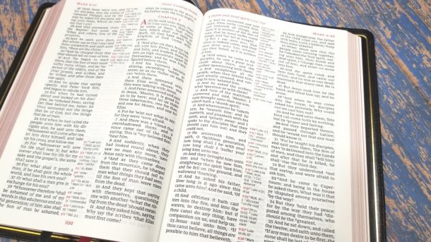 Premier Collection Giant Print Reference KJV Bible Review - Bible ...