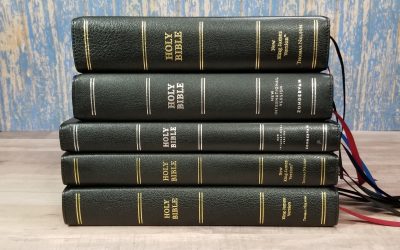 Premier Collection Video Comparison