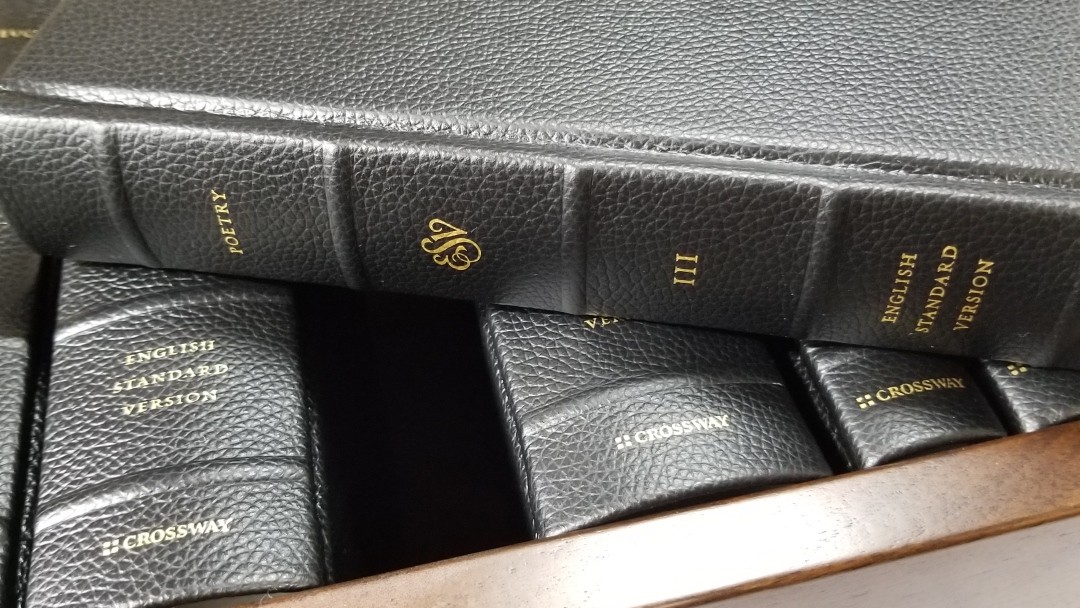Crossway S Esv Reader S Bible Six Volume Set In Cowhide 22