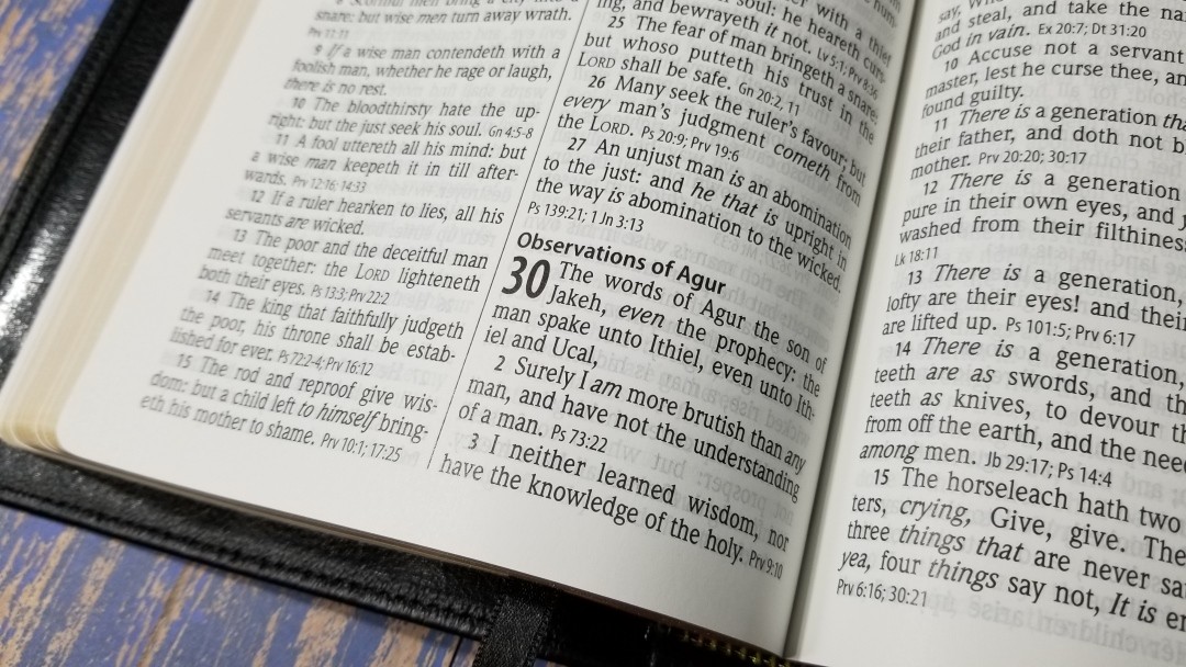 Hendrickson Hallmark Reference Bible (42) - Bible Buying Guide